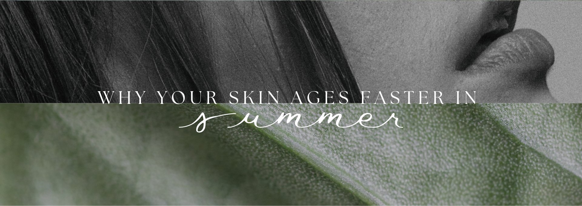SHS June blog skin
